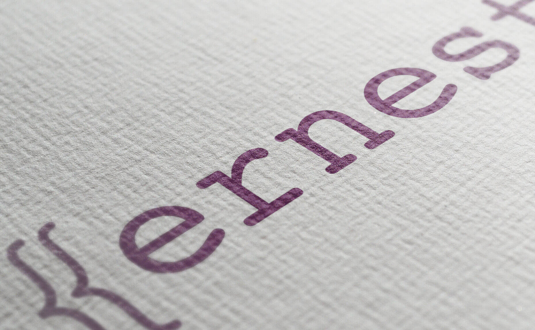 Ernest logo
